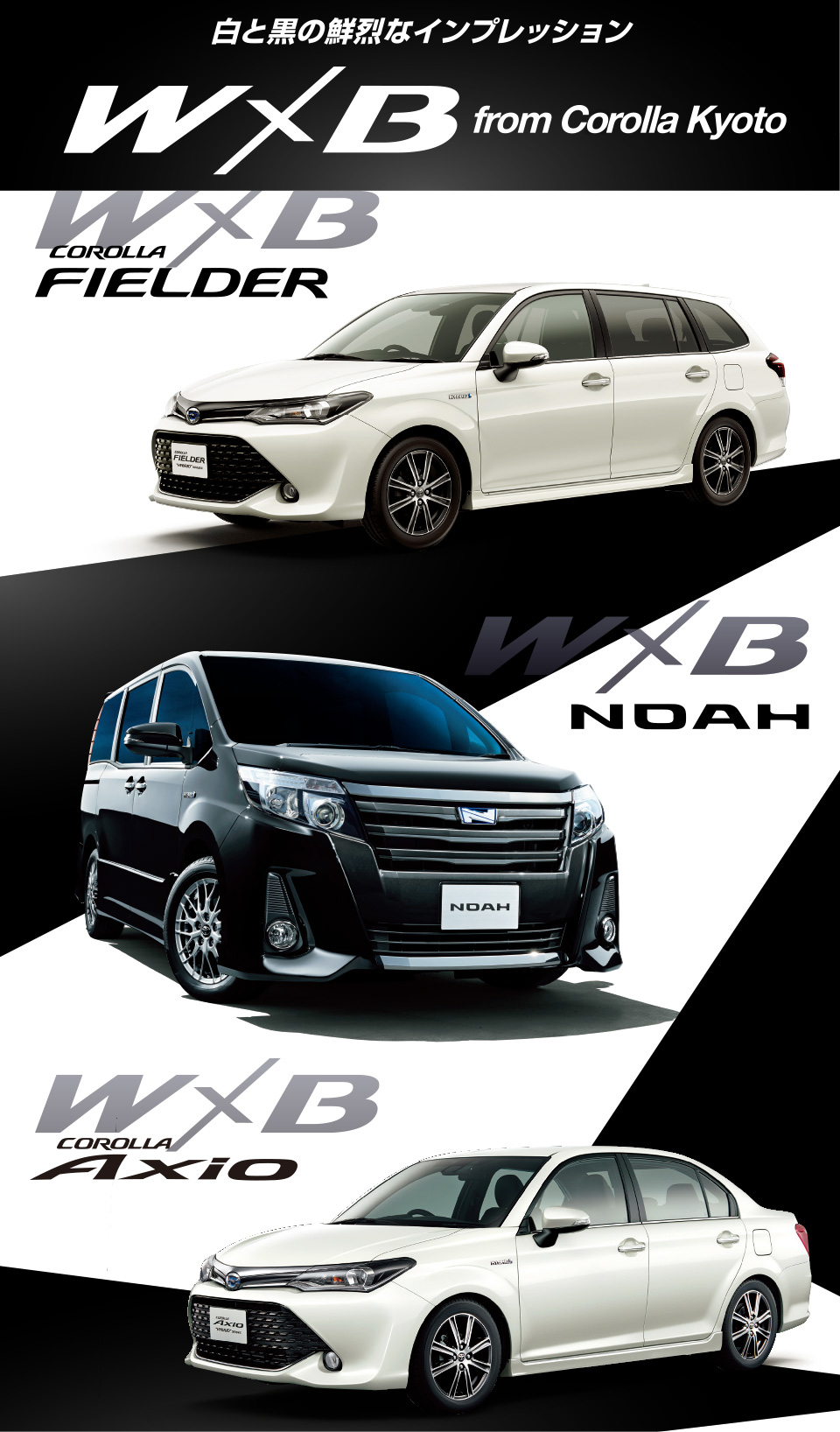 W×B